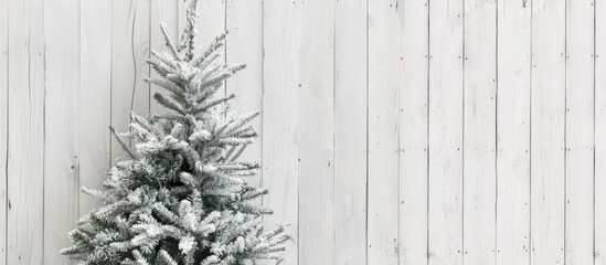 Fototapete - A Christmas tree displayed on a white wooden backdrop with ample copy space for text or other elements