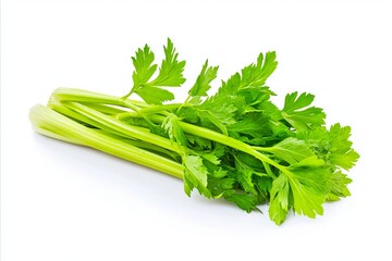 Wall Mural - A bunch of celery on a white background