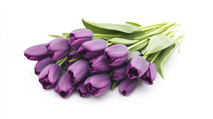 Canvas Print - A bouquet of purple tulips on a