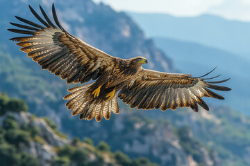 Poster - The Sentinel of the Vale, a majestic eagle, soars high above the valley, keeping watch over the land below,
