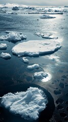 A large body of water is covered in ice