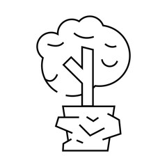 Wall Mural - tree plant in house line icon vector. tree plant in house sign. isolated contour symbol black illustration