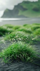 Wall Mural - A field of grass is shown in front of a mountain range. The grass is green and the sky is cloudy