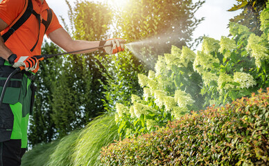 Wall Mural - Gardener Spraying Plants in Sunny Garden During Daytime