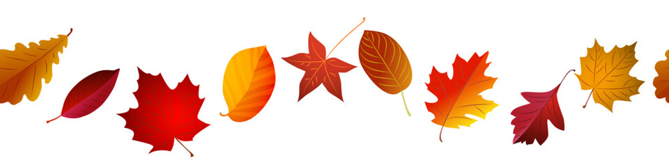 Wall Mural - Autumn red leaves border seamless. Vector