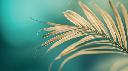 Poster - Golden palm leaf against a blurred teal