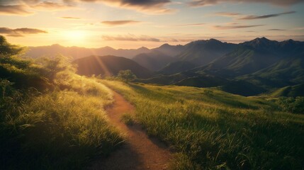 Wall Mural - a scenic mountain trail bathed in warm sunlight at sunrise.