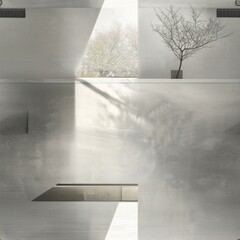 Wall Mural - Minimalist Concrete Interior with Sunlight and Tree.