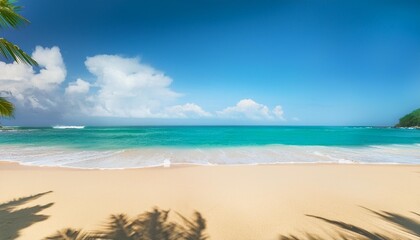 Wall Mural - empty tropical beach in the middle of summer