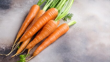 carrot a bunch of fresh carrots on stone background little carrots raw fresh organic orange carrots