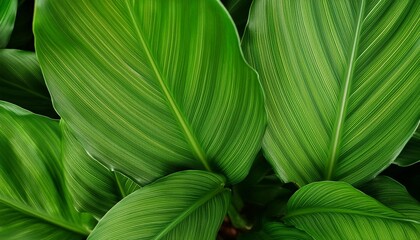 Wall Mural - abstract bright green leaf seamless pattern exotic plant