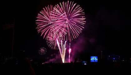 Wall Mural - Fireworks Display Over Crowd.