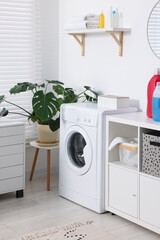 Canvas Print - Washing machine, furniture, detergents, laundry and houseplant indoors