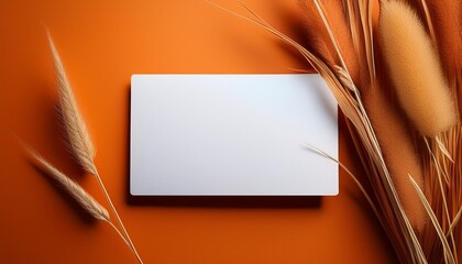 A blank white card lays flat on a smooth orange surface surrounded by dried grass