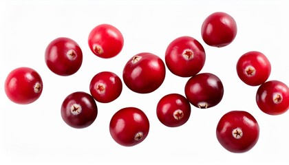 Sticker - scattered cranberries vaccinium oxycoccus fruits top view isolated png