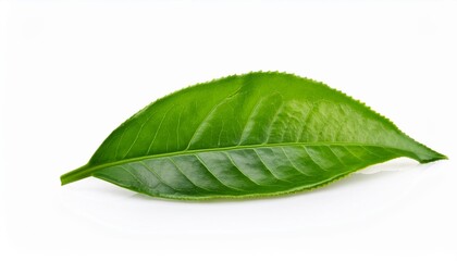 Sticker - green tea leaves isolated on white background