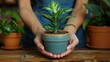 © Alienmarsh - A Person Holding a potted Plant