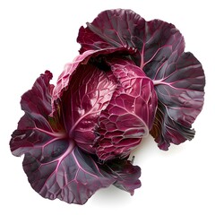 Wall Mural - Red Cabbage Close Up