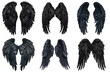© Intania - Six Different Views of a Pair of Black Angel Wings