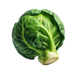 Wall Mural - Cabbage isolated on transparent background 