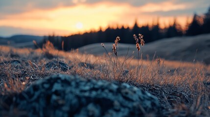 Wall Mural - tall grass, foreground rock, background trees