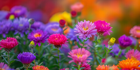 Wall Mural - Beautiful colorful flowers field background