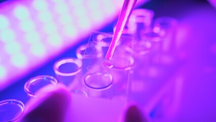 Wall Mural - analyzing chemicals in neon purple light using advanced laboratory equipment