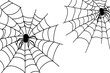 © Farjana CF- 2969560 - Set of spider web, Halloween cobweb, frames and borders, scary elements for decoration.