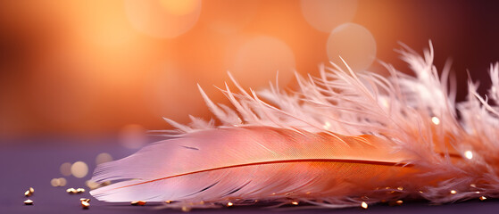 Poster - immersive vibrant mauve orange feather star background