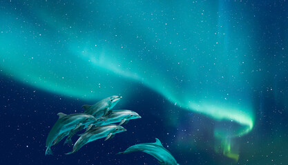 Wall Mural - Group of dolphins jumping on the water with aurora borealis