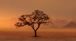 © muratart - Typical african lone acacia tree with  Namib desert - Namibia, South Africa