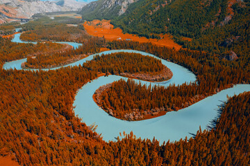 Beautiful aerial photo autumn landscape, , Altai Russia. Winding blue river meander in mountains with forest trees with sunlight, top view