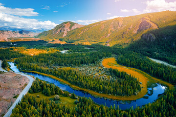 Wall Mural - Winding river meander in mountains with forest trees with sunlight, top view. Beautiful aerial landscape Altai Russia