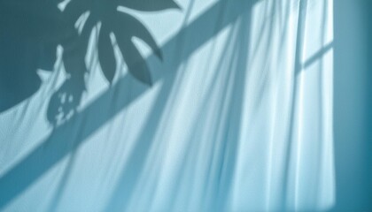 Wall Mural - minimal abstract light blue background for product presentation shadow of tropical leaves and curtains window on plaster wall