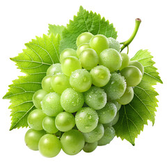 Wall Mural - Bunch of Green Grapes with Water Droplets, Isolated on Transparent Background, Ideal for Food and Grape Designs