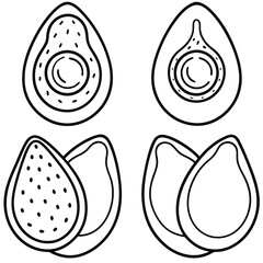 vector avocado illustration, avocado template 