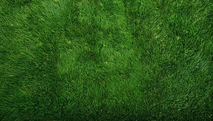 Wall Mural - top view of real green grass background