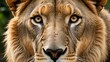 © RamishAI - Close-Up Majestic Lion Face with Intense Golden Eyes