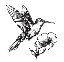 Poster - Flying Hummingbird and flowers. nice drawing and illustration for print, tattoo and etc.