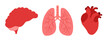 © Sova Olga - Set of human internal organs flat icons. Brain, heart and lungs on white background. Neurology, pulmonology and cardiology concept. Vector illustration