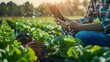 © Kanika Graphic - the concept of processing the cultivation of an agricultural field with automated on artificial intelligence. technologies of the future in agriculture