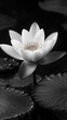 © Sidewaypics - Lotus Flower Urban Oasis Buddhism, Hinduism Religion Spiritual Symbol - Generative AI