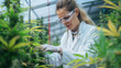 © Chatchanan - A researcher analyzing the growth of organic cannabis in a greenhouse