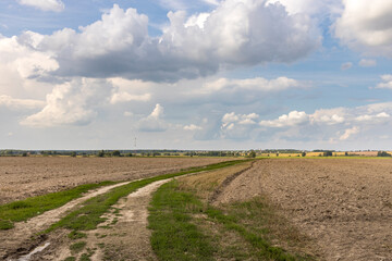 A dirt road winds through a field of dry grass