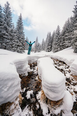 Wall Mural - Mountaineer backcountry ski walking ski alpinist in the mountains. Ski touring in alpine landscape with snowy trees. Adventure winter sport. Low Tatras, slovakia