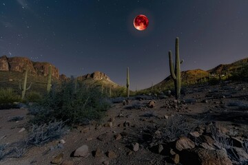 A wide-angle shot of the Blood Moon casting a reddish glow over a desert landscape, with cacti and rocks.Bloody moon.Blood moon.Full red moon.