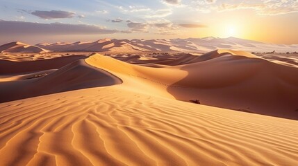 Wall Mural - Golden Dunes at Sunset in the Desert