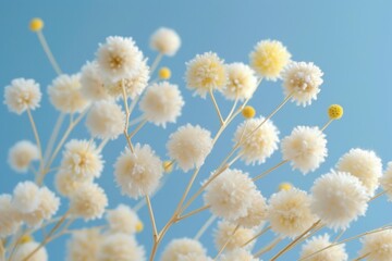 Canvas Print - A soft focus shot of gentle white blooms against a serene blue backdrop