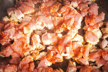 Wall Mural - Turkey meat is fried in a pan. Background or banner, place to copy space, close-up.