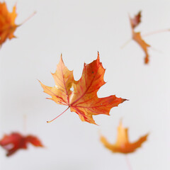 Wall Mural - there are many leaves flying in the air on a white surface